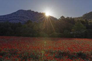 Lever_de_soleil_sur_la_montagne_Sainte-Victoire (c) Ddeveze, CC BY-SA 4.0